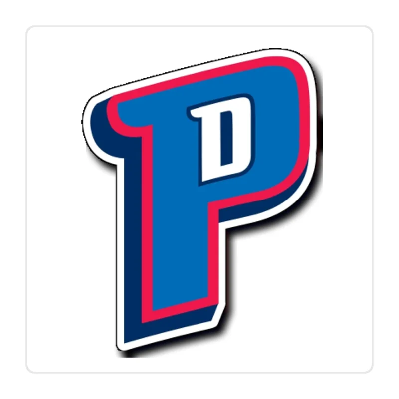 Detroit Pistons Full Color Vinyl Sticker - Custom Size