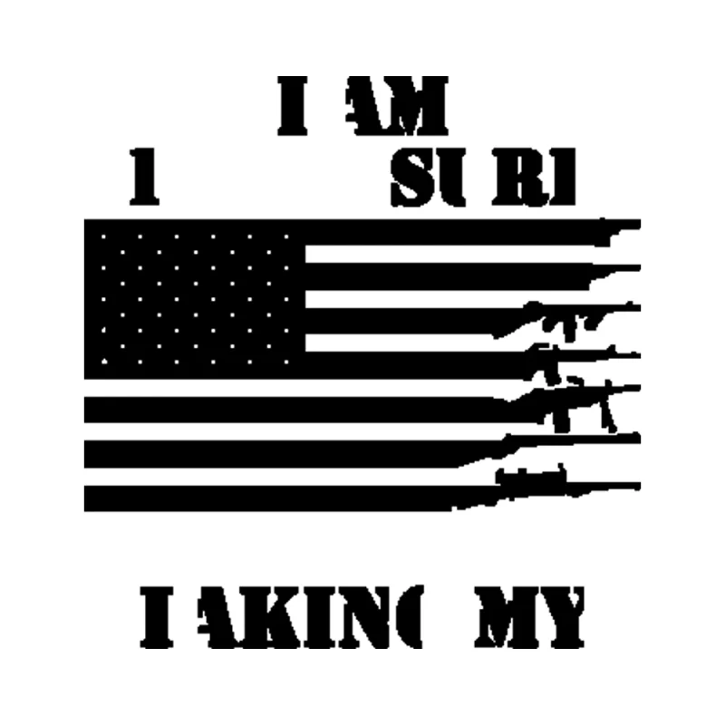 I am 1776% Sure No One Will Be Taking My Guns Vinyl Decal