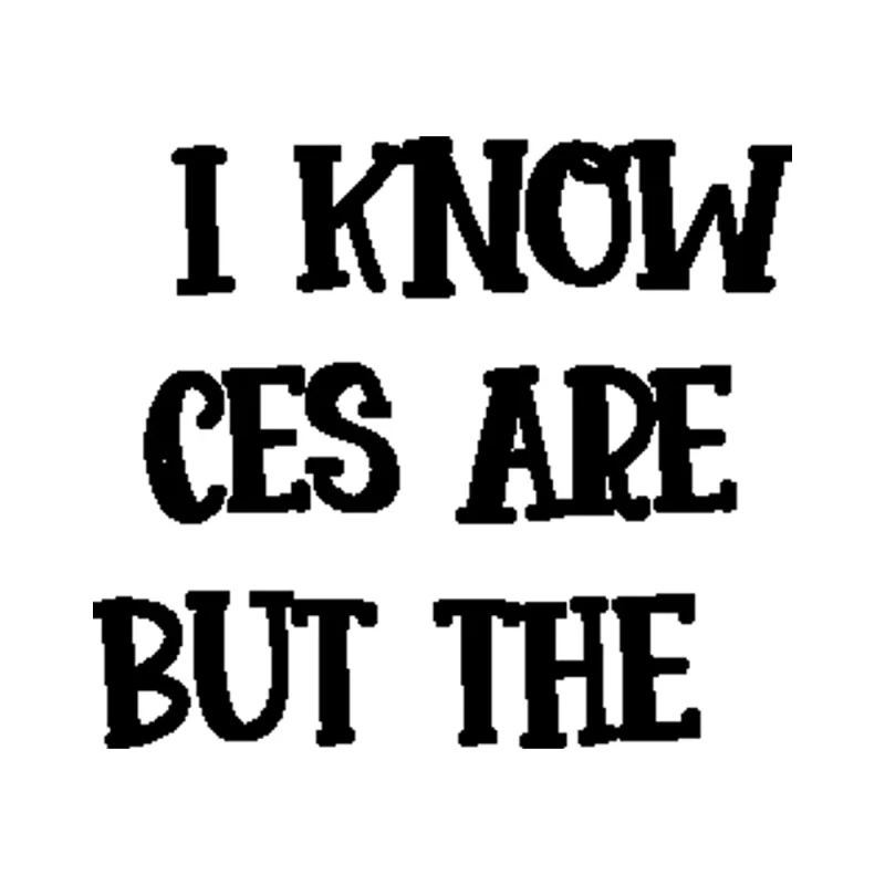 I Know The Voices Aren't real (But They Have Some Great Ideas!) Vinyl Decal - Custom Size