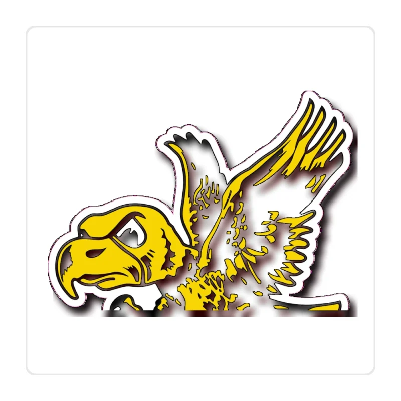 Iowa Hawkeyes - Hawk - Full Color Vinyl Decal - Custom Size