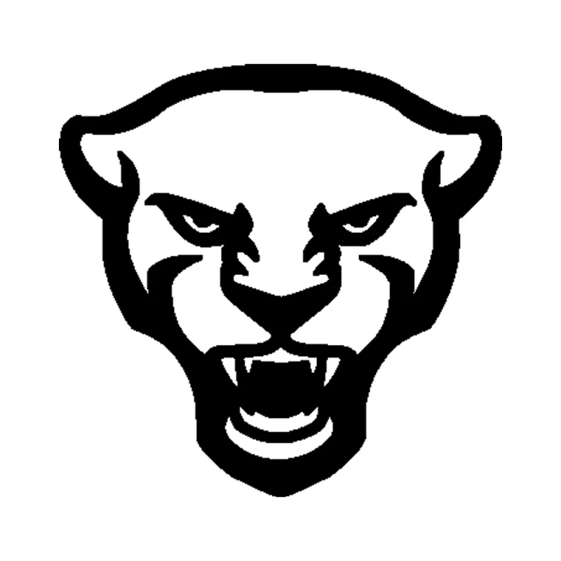 Pittsburgh Panthers Vinyl Decal - Custom Size
