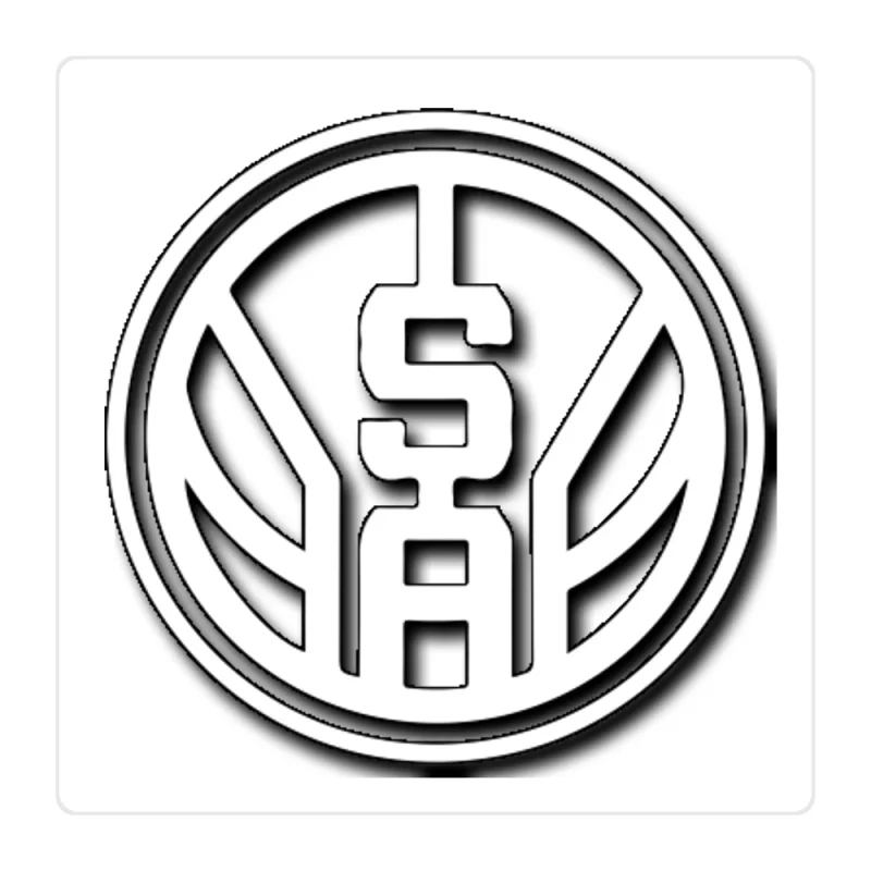 San Antonio Spurs Full Color Vinyl Sticker - Custom Size