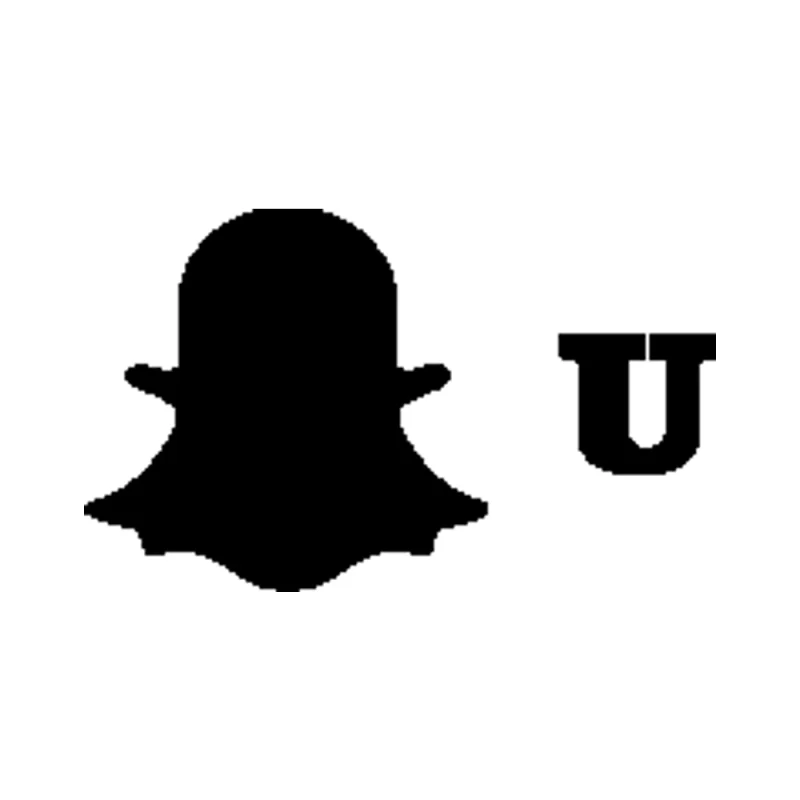 Snapchat Vinyl Decal - Custom Size