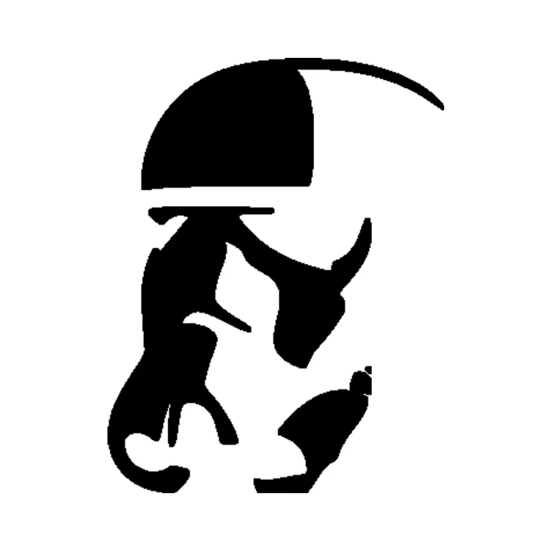 Star Wars Stormtrooper Vinyl Decal - Custom Size