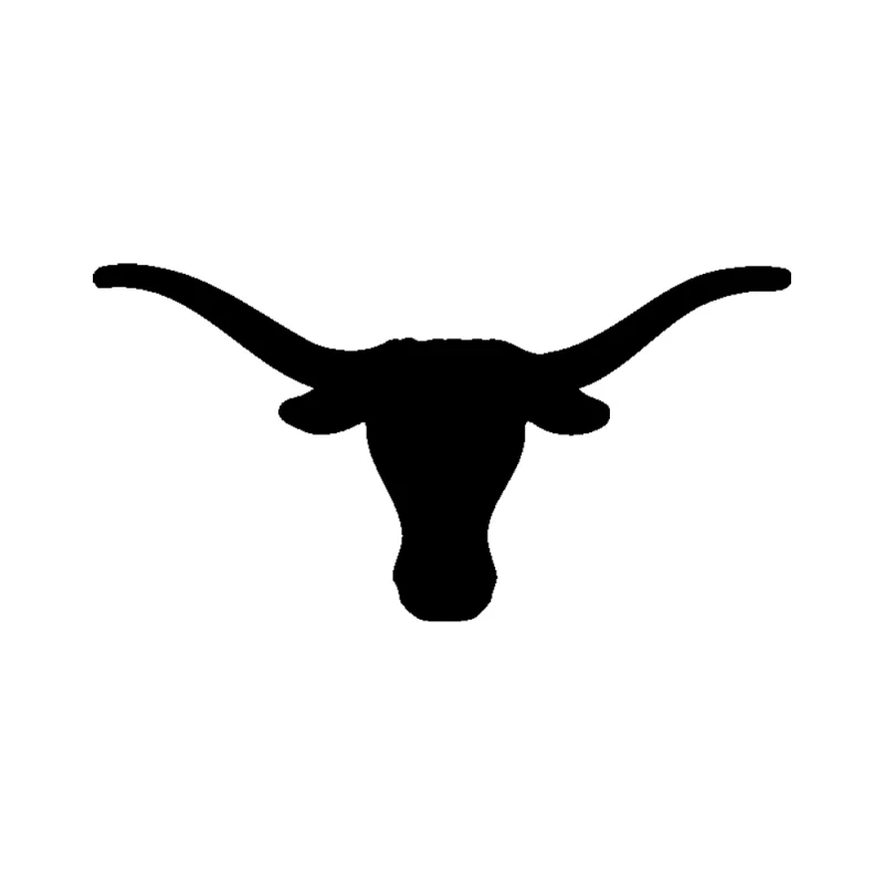 Texas Longhorns Vinyl Decal - Custom Size