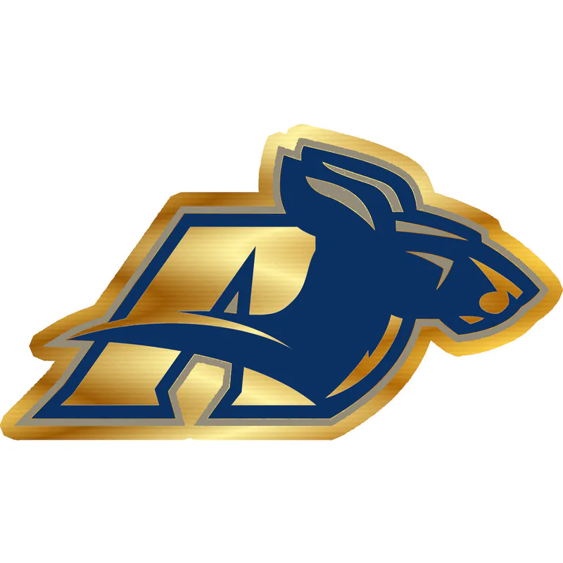 Akron Zips - Image 1 - Gold Chrome Vinyl Decal - Custom Size