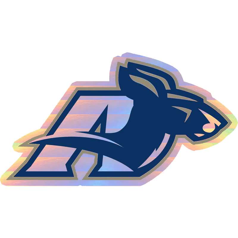 Akron Zips - Image 1 - Holographic Vinyl Decal - Custom Size