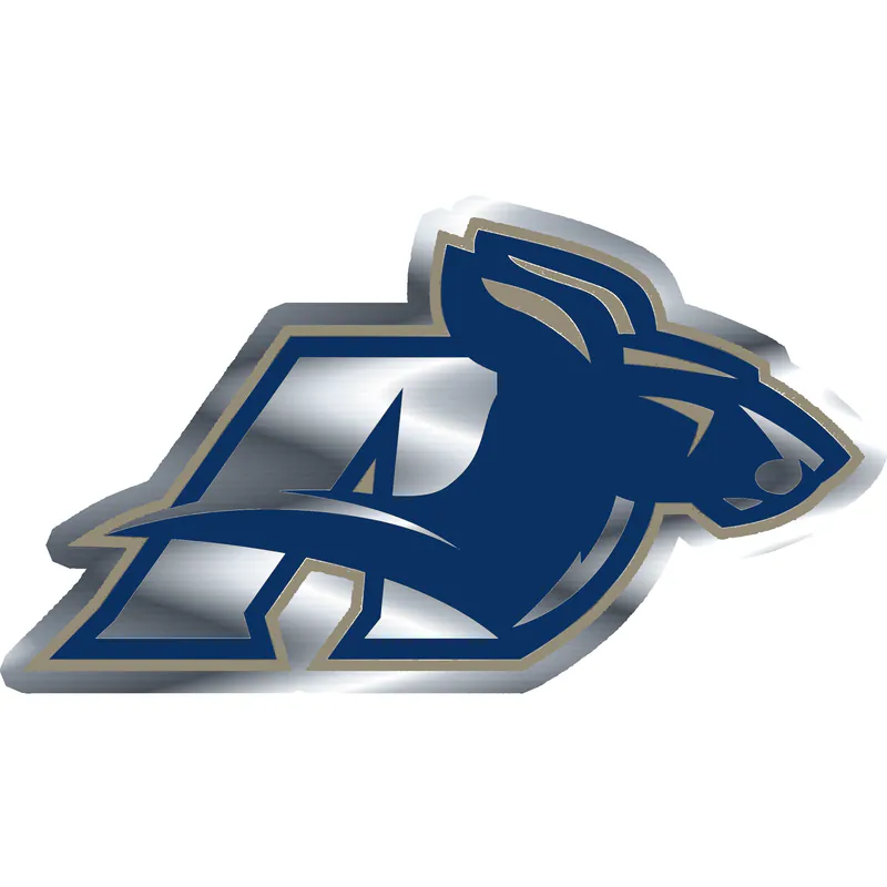 Akron Zips - Image 1 - Silver Chrome Vinyl Decal - Custom Size