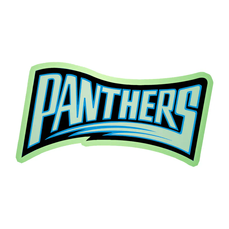 Carolina Panthers Glow in the Dark Vinyl Decal - Wording - Custom Size