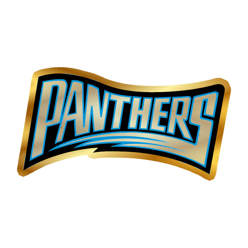Carolina Panthers Gold Chrome Vinyl Decal - Wording - Custom Size