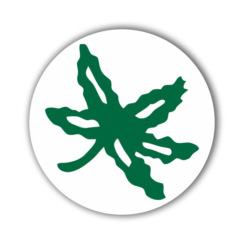 Ohio State Buckeyes - Circle Leaf - Full Color Vinyl Decal