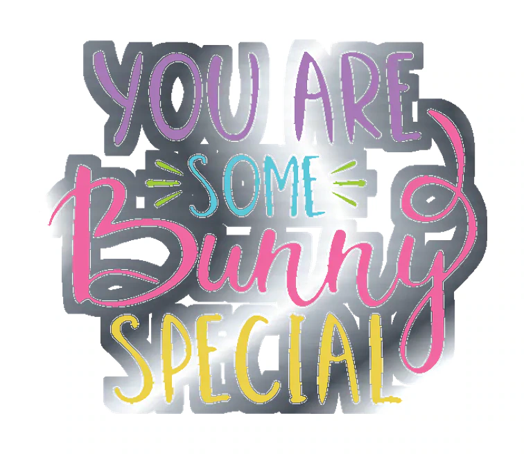 You Are Some Bunny Special - Silver Chrome Vinyl Sticker - Custom Size