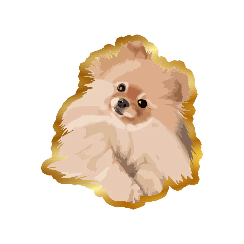 Pomeranian - Gold Chrome Vinyl Sticker - Custom Size