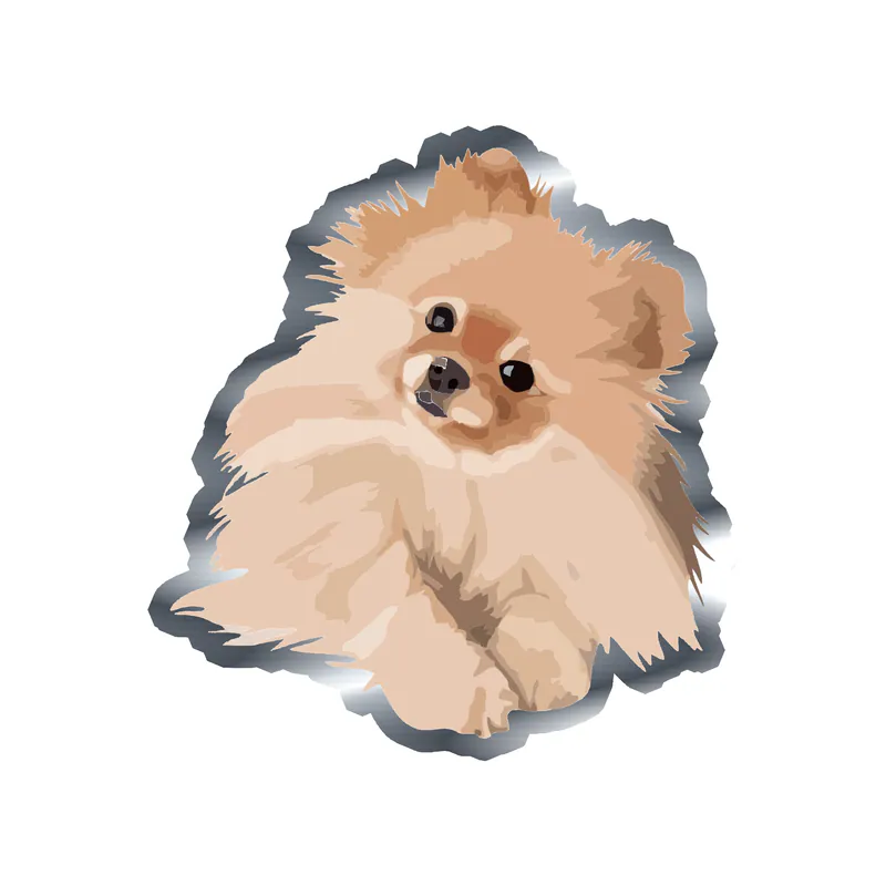 Pomeranian - Silver Chrome Vinyl Sticker - Custom Size