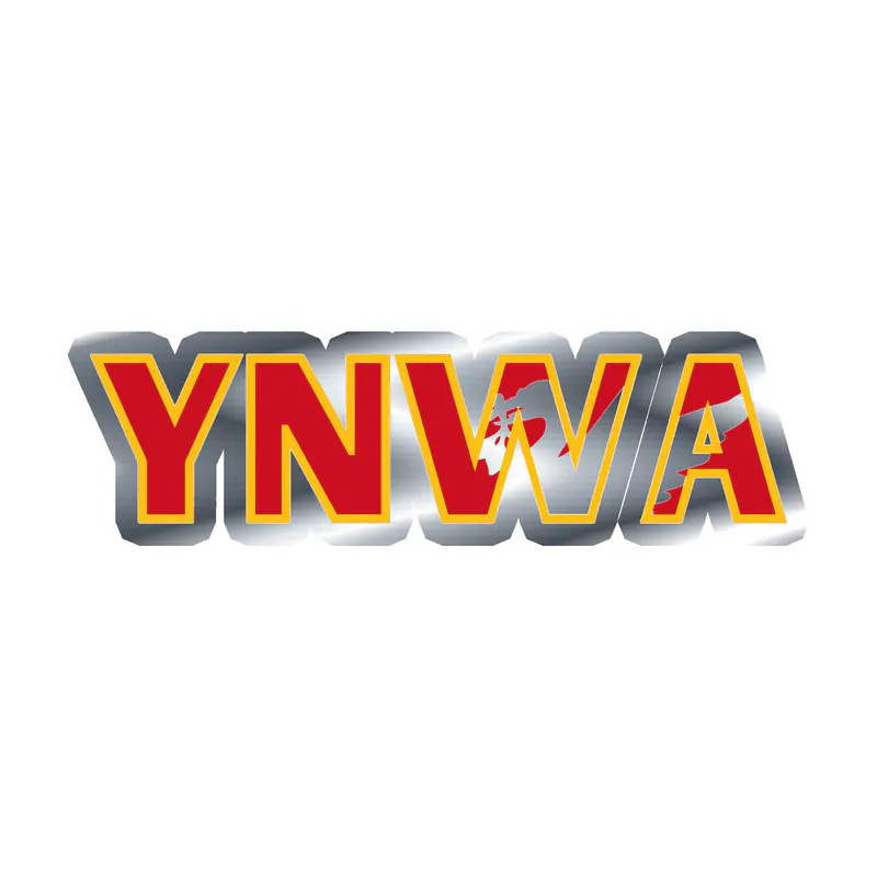 Liverpool FC - YNWA - Silver Chrome Vinyl Sticker - Custom Size
