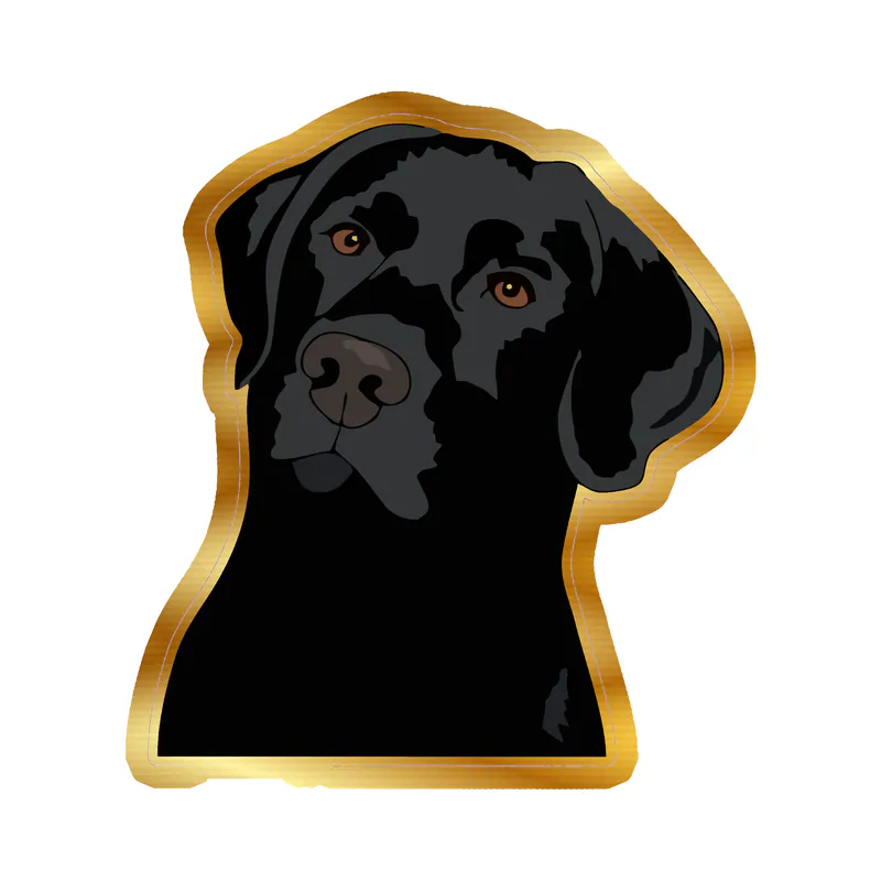 Black Labrador Retriever - Gold Chrome Vinyl Sticker - Custom Size