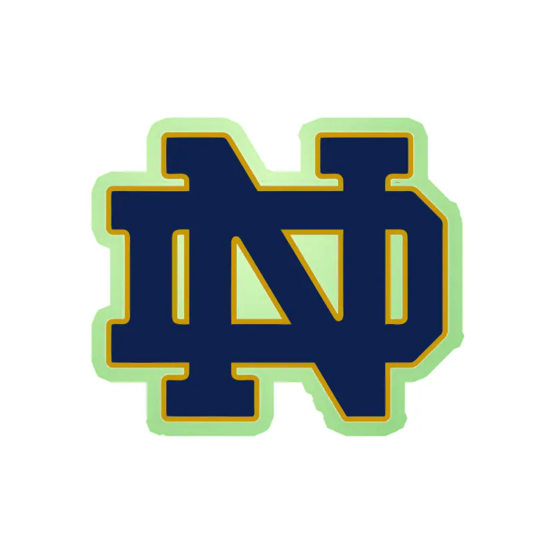 Notre Dame - Image 3 - Glow in the Dark Vinyl Decal - Custom Size