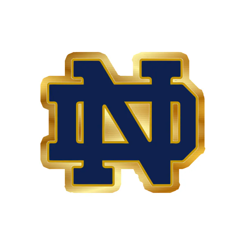 Notre Dame - Image 3 - Gold Chrome Vinyl Decal - Custom Size