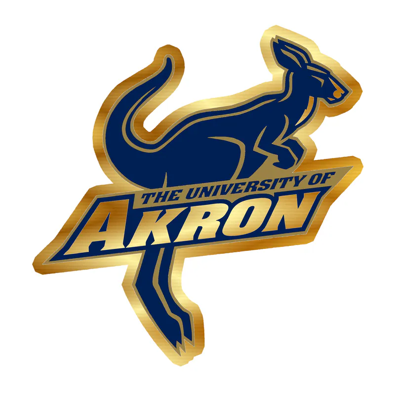 Akron Zips - Image 2 - Gold Chrome Vinyl Decal - Custom Size