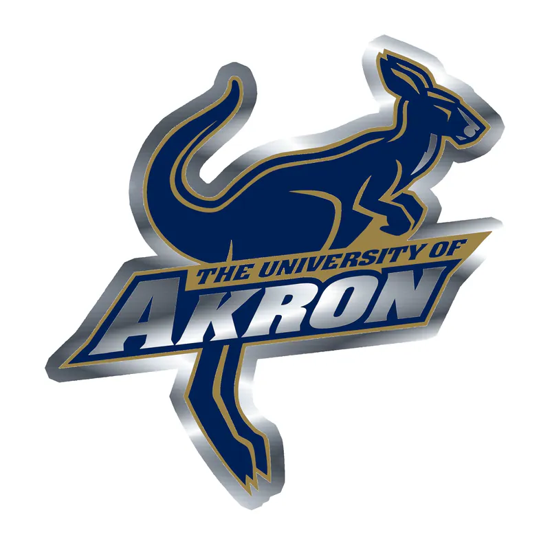 Akron Zips - Image 2 - Silver Chrome Vinyl Decal - Custom Size