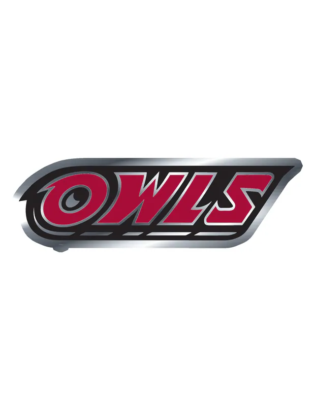 Temple University - Image 2 - Silver Chrome Vinyl Decal - Custom Size