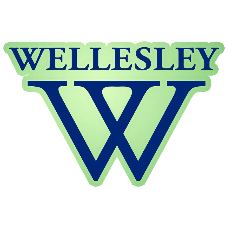 WELLESLEY - Glow in the Dark Vinyl Sticker - Custom Size