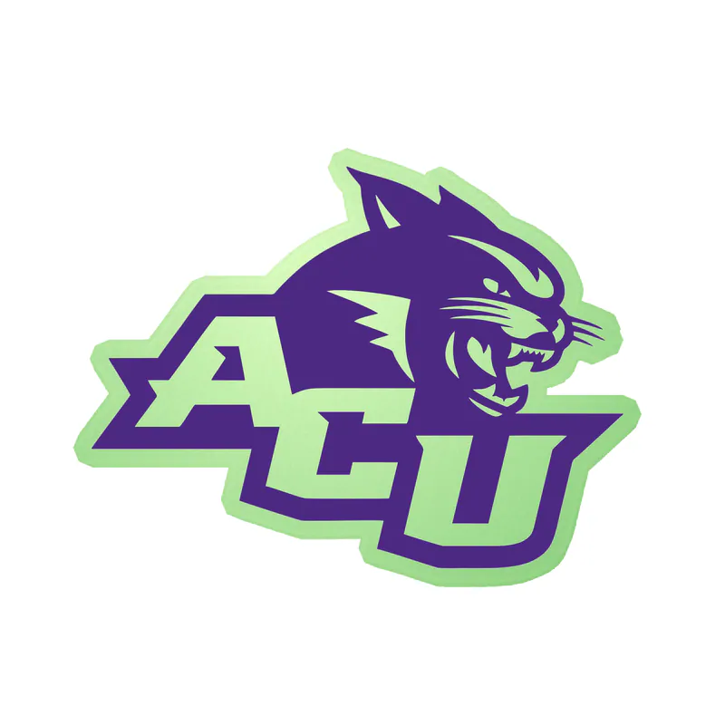 Abeline Christian Wildcats - Image 1 - Glow in the Dark Vinyl Decal - Custom Size