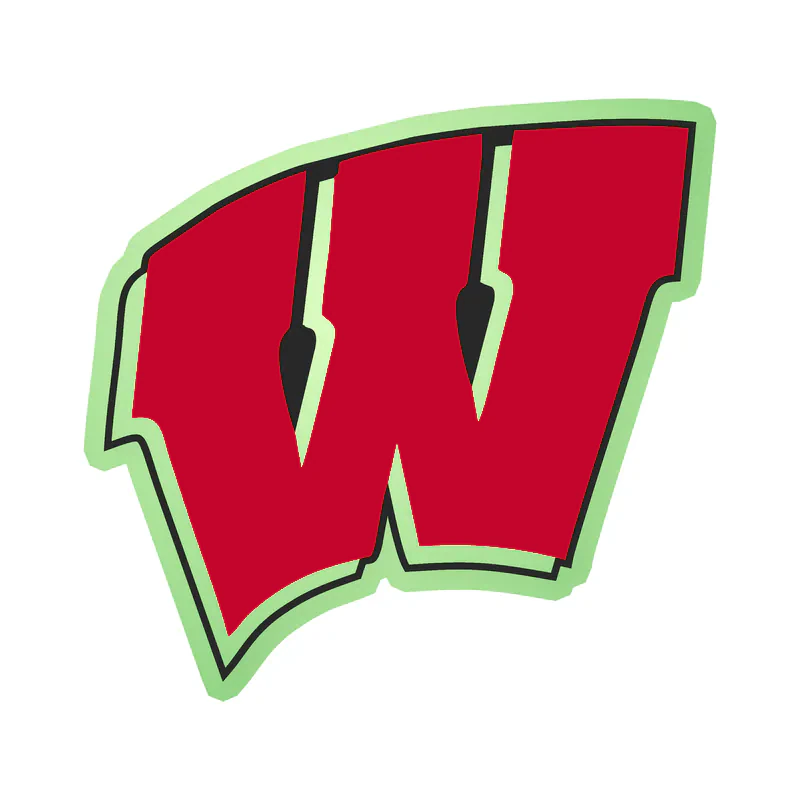 Wisconsin Badgers - Image 2 - Glow in the Dark Vinyl Decal - Custom Size