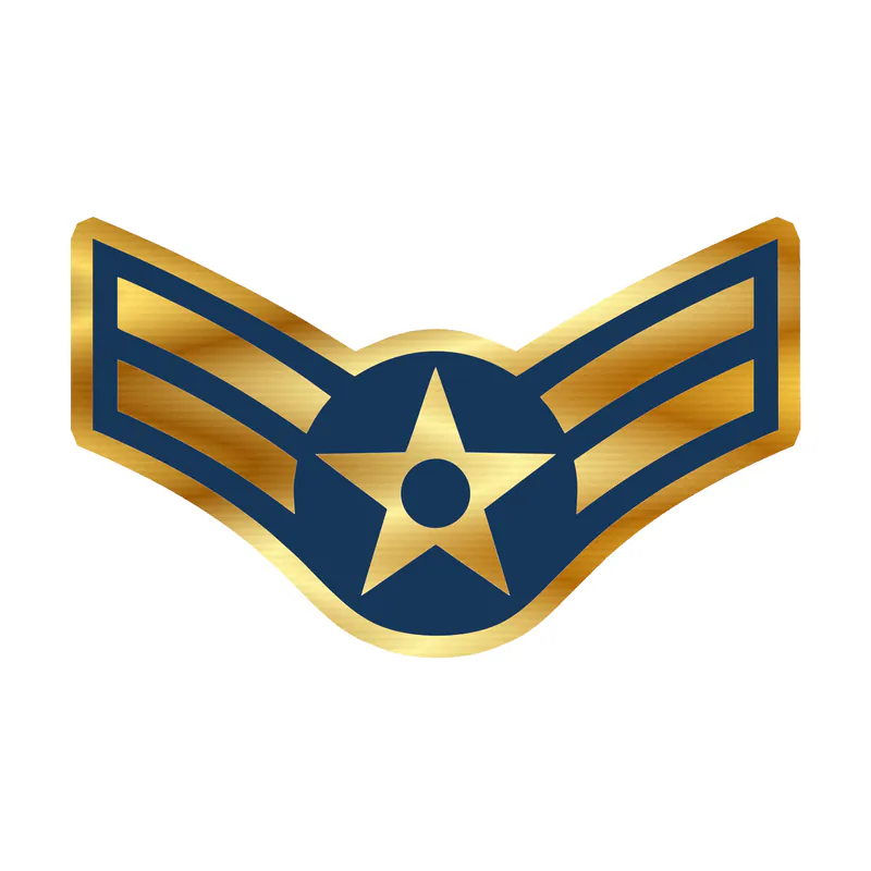 Air Force Gold Chrome Vinyl Decal