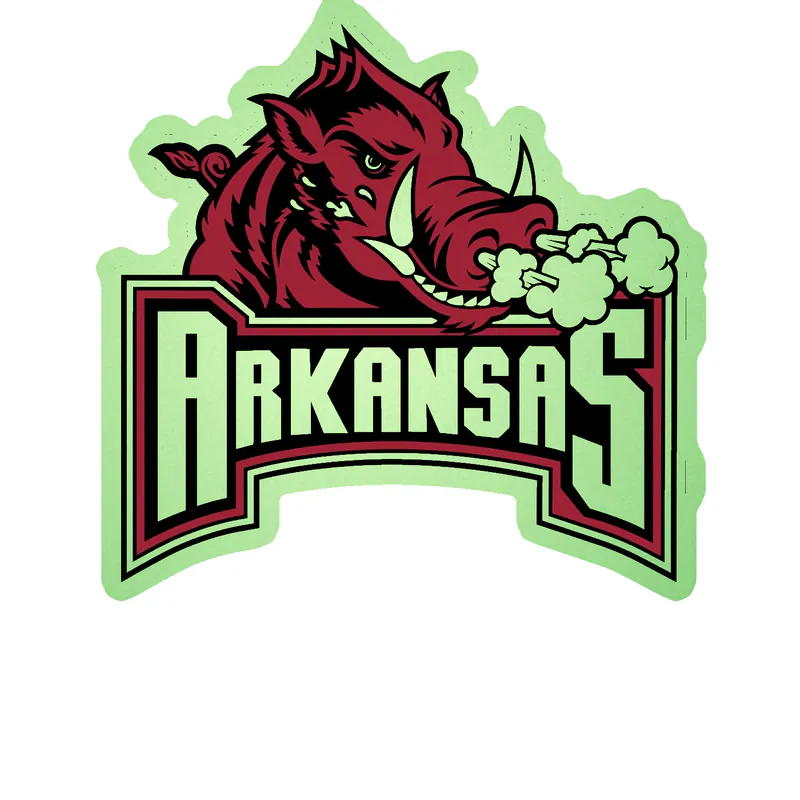 Arkansas Razorbacks - Image 18 - Glow in the Dark Vinyl Decal - Custom Size