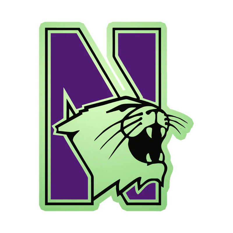 Northwestern Wildcats - N With Wildcat -  Glow in the Dark Vinyl Decal - Custom Size