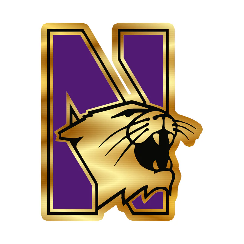 Northwestern Wildcats - N With Wildcat -  Gold Chrome Vinyl Decal - Custom Size