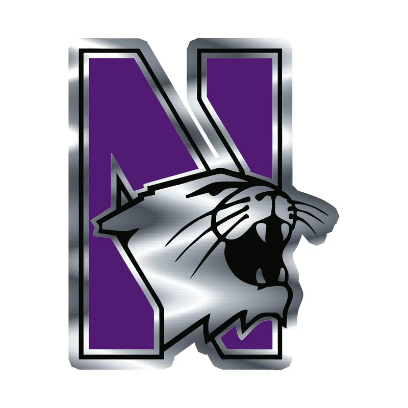 Northwestern Wildcats - N With Wildcat -  Silver Chrome Vinyl Decal - Custom Size