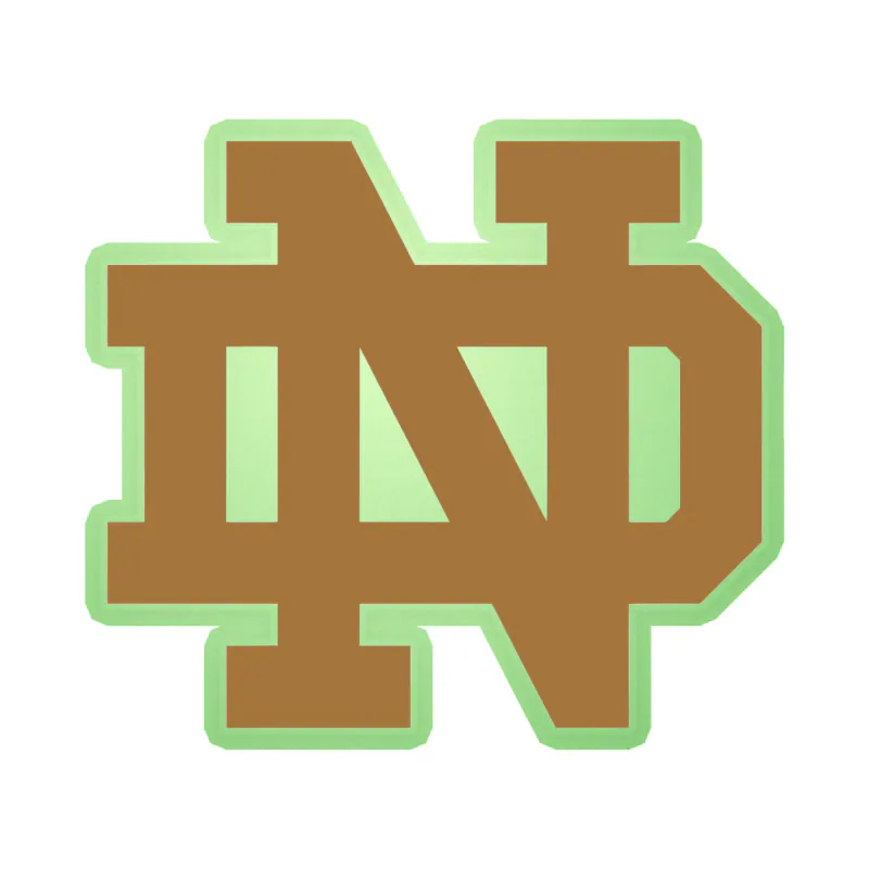 Notre Dame - Image 4 - Glow in the Dark Vinyl Decal - Custom Size