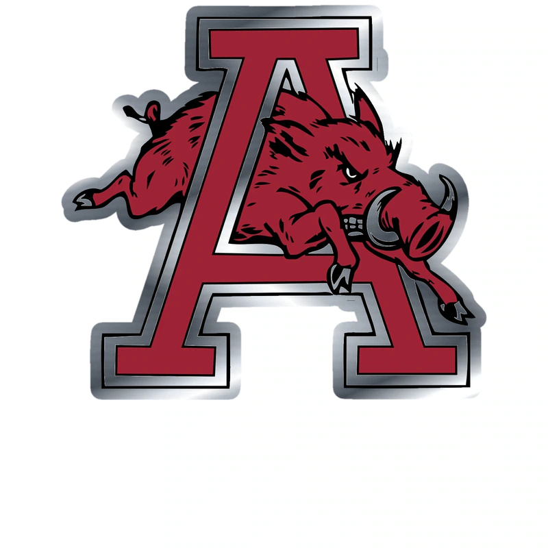 Arkansas Razorbacks - Image 19 - Silver Chrome Vinyl Decal - Custom Size
