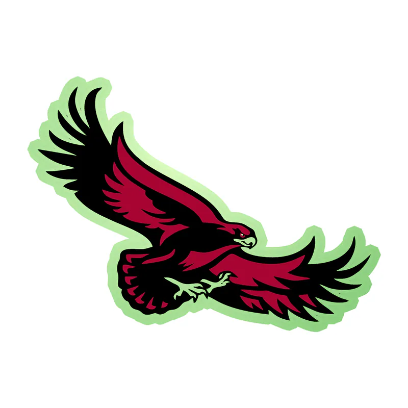 St. Joseph's Hawks - Image 2 - Glow in the Dark Vinyl Decal - Custom Size