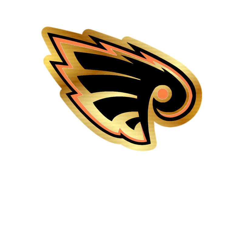 Philadelphia Flyers - Image 1 - Gold Chrome Vinyl Sticker - Custom Size