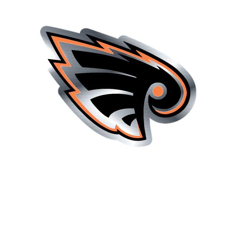 Philadelphia Flyers - Image 1 - Silver Chrome Vinyl Sticker - Custom Size