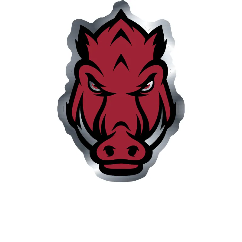 Arkansas Razorbacks - Image 9 - Silver Chrome Vinyl Decal - Custom Size