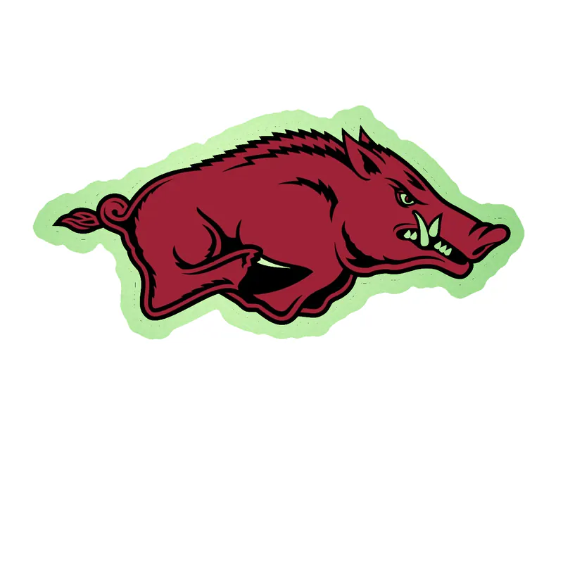 Arkansas Razorbacks - Image 22 - Glow in the Dark Vinyl Decal - Custom Size