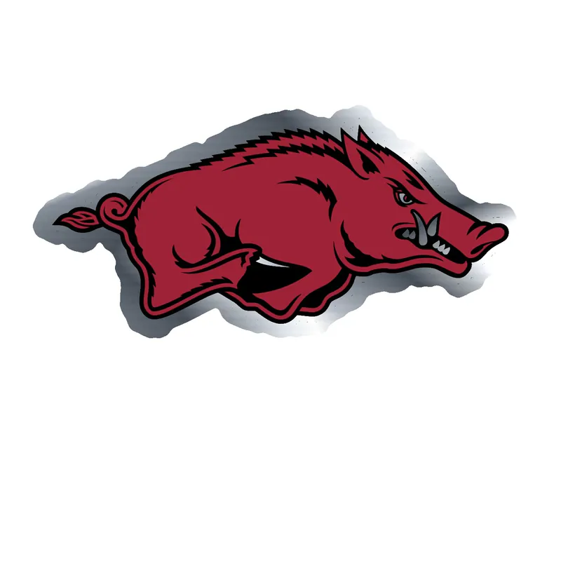 Arkansas Razorbacks - Image 22 - Silver Chrome Vinyl Decal - Custom Size