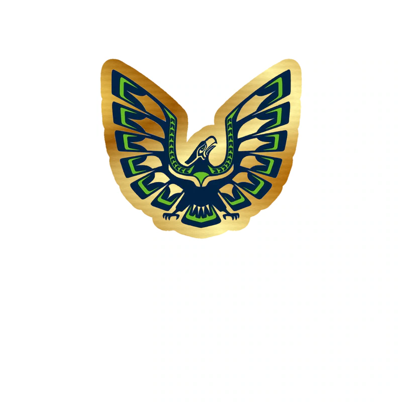 Seattle Seahawks - Image 12 - Gold Chrome Vinyl Sticker - Custom Size