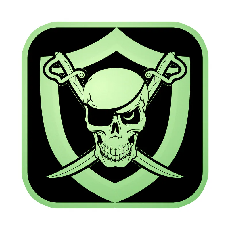 Las Vegas Raiders - Image 7 - Glow in the Dark Vinyl Sticker - Custom Size