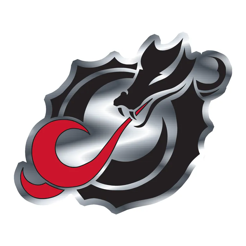 Minnesota State University- Moorhead Dragon - Silver Chrome Vinyl Sticker - Custom Size