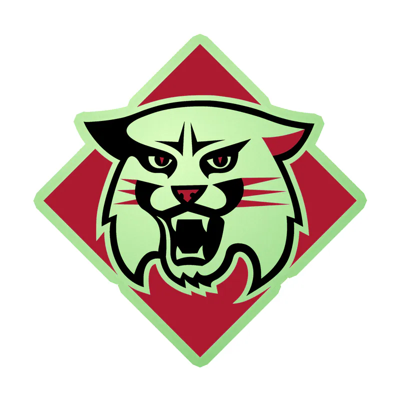 Davidson Wildcats Glow in the Dark Vinyl Decal - Custom Size