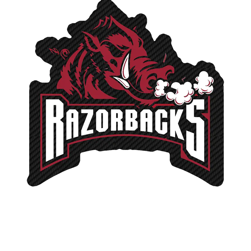 Arkansas Razorbacks - Image 14 - Carbon Fiber Vinyl Decal - Custom Size