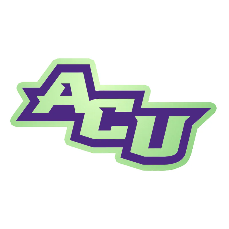 Abeline Christian Wildcats - Image 3 - Glow in the Dark Vinyl Decal - Custom Size