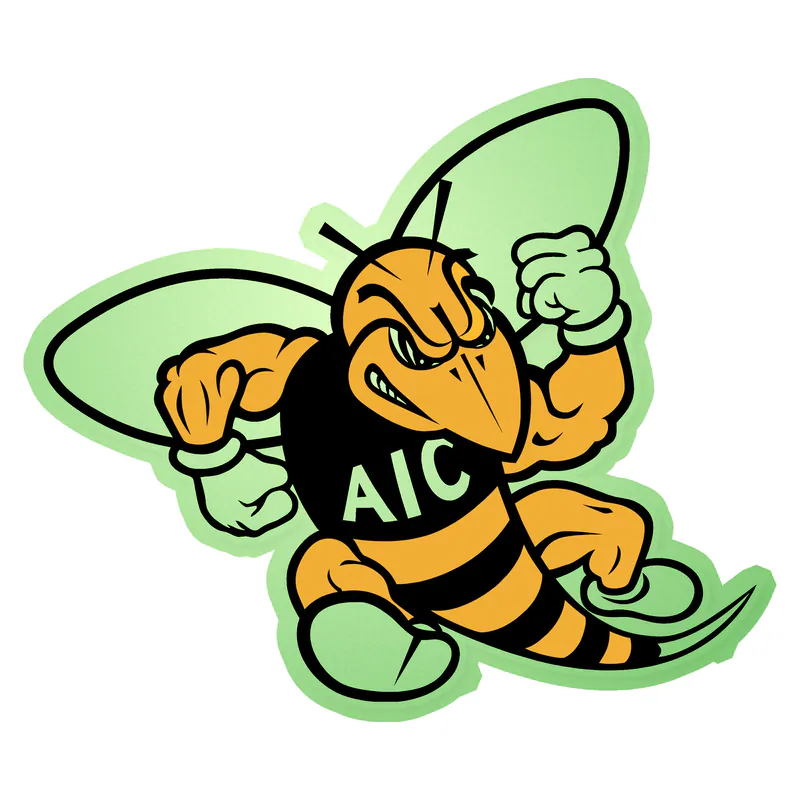 AIC Yellow Jackets Glow in the Dark Vinyl Decal - Custom Size