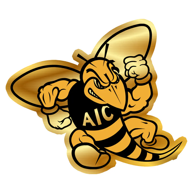 AIC Yellow Jackets Gold Chrome Vinyl Decal - Custom Size