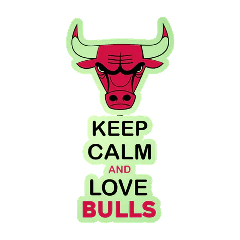 Chicago Bulls - Keep Calm And Love Bulls - Glow in the Dark Vinyl Sticker - Custom Size